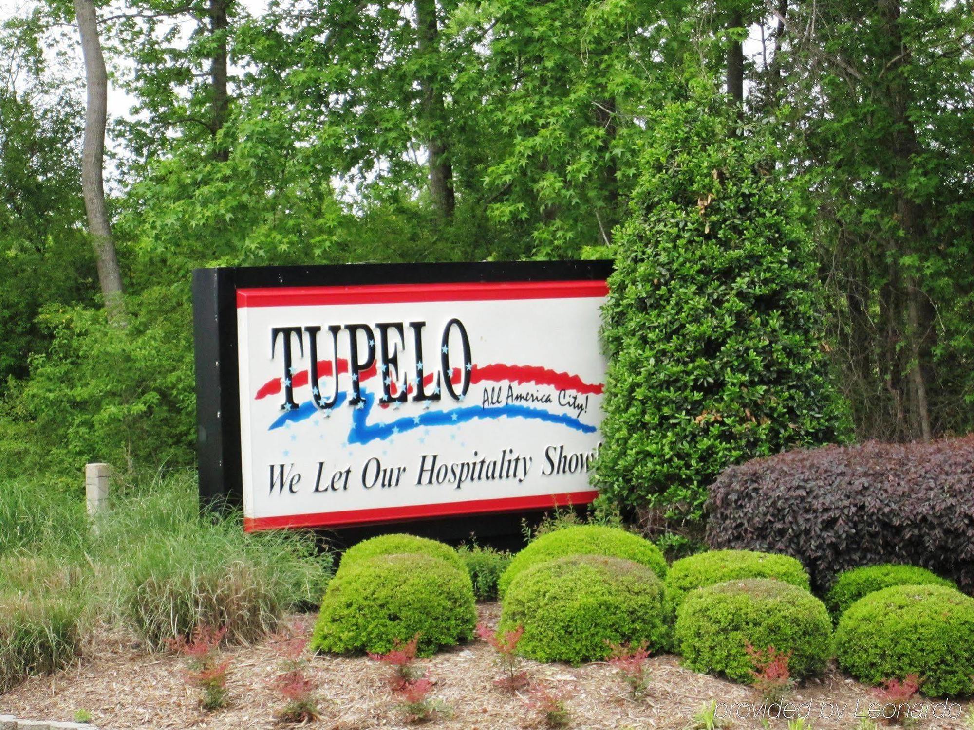 Hampton Inn & Suites Tupelo/Barnes Crossing Bagian luar foto